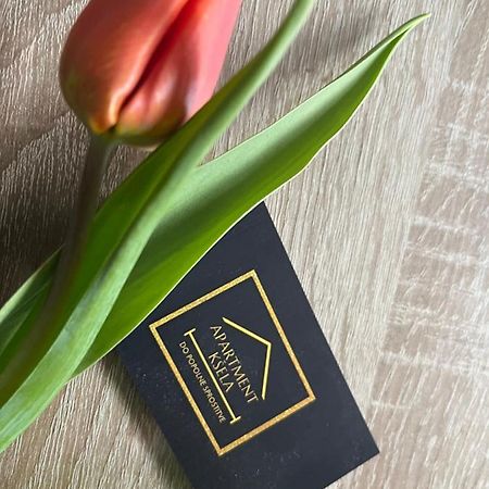 Apartma Ksela Mala Nedelja Exteriör bild